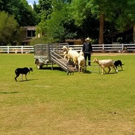 The Scenery Vintage Farm