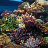 Sea Life Melbourne Aquarium