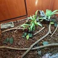 Sea Life Melbourne Aquarium