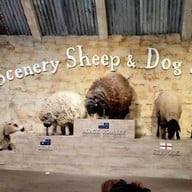 The Scenery Vintage Farm