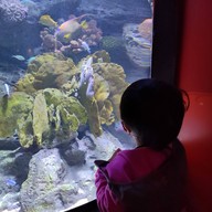 Sea Life Melbourne Aquarium