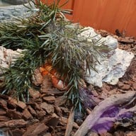 Sea Life Melbourne Aquarium