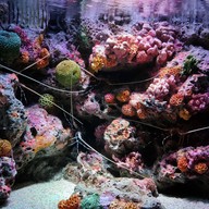 Sea Life Melbourne Aquarium