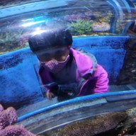 Sea Life Melbourne Aquarium