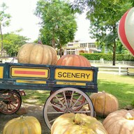 The Scenery Vintage Farm