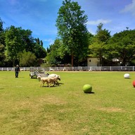 The Scenery Vintage Farm