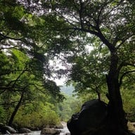 วังตะไคร้