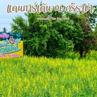 สวนอาหารแดนการ์เด้น (ใกล้สวนเสือศรีราชา)