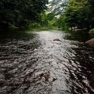 วังตะไคร้