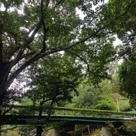 วังตะไคร้