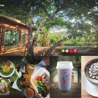 บิ๊ก แบ่ง ปัน | cafe' & farm