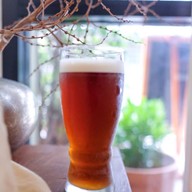 เมนูของร้าน The Orange’s Tea สุขุมวิท62