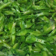 ขนมจีนบ้านเด็กโขน ก๋วยเตี๋ยวทะเล เย็นตาโฟ  ข้าวต้มปลา ข้าวต้มทะเล ขนมจีนน้ำต่างๆ