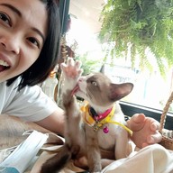 Baan Buri Café