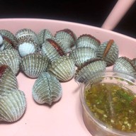 หอยแครงลวก!หอยอมชมพู!! Sale!! Size XXL 07/09 หอยลงสดๆ ขัดเงา For you สาขา 1