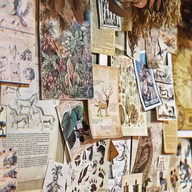Cervidae Cafe