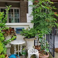 หน้าร้าน Nugleng Bar