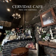 Cervidae Cafe