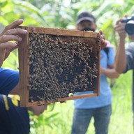 บ้านรวมไทย กุยบุรี