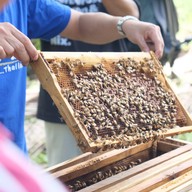 บ้านรวมไทย กุยบุรี