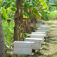 บ้านรวมไทย กุยบุรี