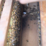 บ้านรวมไทย กุยบุรี