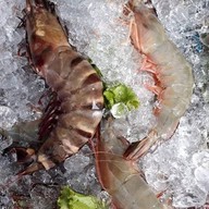 Black & White Seafood