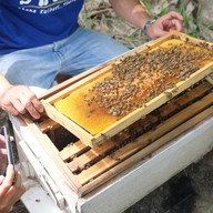 บ้านรวมไทย กุยบุรี