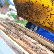 บ้านรวมไทย กุยบุรี