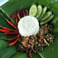 กะเพรากระเทย เชียงใหม่