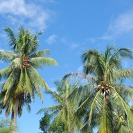 บ้านรวมไทย กุยบุรี