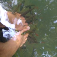 สวนขวัญ ทรอปิคอล คาเฟ่