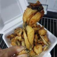 กบทอดท่ามะกา