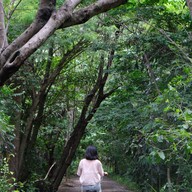 สวนศรีนครเขื่อนขันธ์