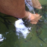 สวนขวัญ ทรอปิคอล คาเฟ่