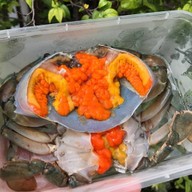 ปูนะจ๊ะ