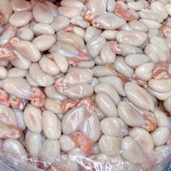 หมึกพ่นไฟ