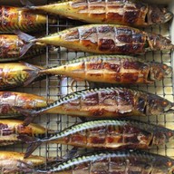 แจ๊ค ปลาซาบะ (นอร์เวย์)ย่างซีอิ้ว