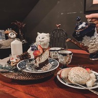 Cervidae Cafe