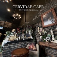 Cervidae Cafe