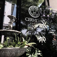 Cervidae Cafe