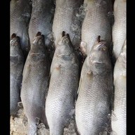 หมูกรอบ คุณไอซ์ (ซอยคุณพระ) คลองหลวง 27 /ซอยคุณพระ
