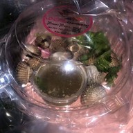 หอยแครงลวก!หอยอมชมพู!! Sale!! Size XXL 07/09 หอยลงสดๆ ขัดเงา For you สาขา 1