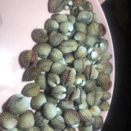 หอยแครงลวก!หอยอมชมพู!! Sale!! Size XXL 07/09 หอยลงสดๆ ขัดเงา For you สาขา 1