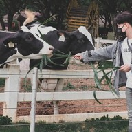 ฟาร์มโชคชัย