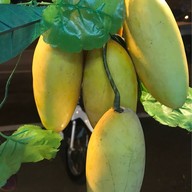 หรรษาน้ำผลไม้ปั่นเพื่อสุขภาพ