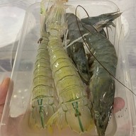. ในเมือง