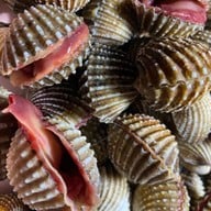 หอยแครงลวก!หอยอมชมพู!! Sale!! Size XXL 07/09 หอยลงสดๆ ขัดเงา For you สาขา 1