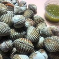 หอยแครงลวก!หอยอมชมพู!! Sale!! Size XXL 07/09 หอยลงสดๆ ขัดเงา For you สาขา 1