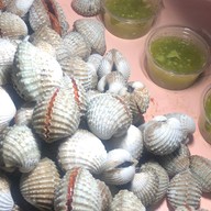 หอยแครงลวก!หอยอมชมพู!! Sale!! Size XXL 07/09 หอยลงสดๆ ขัดเงา For you สาขา 1